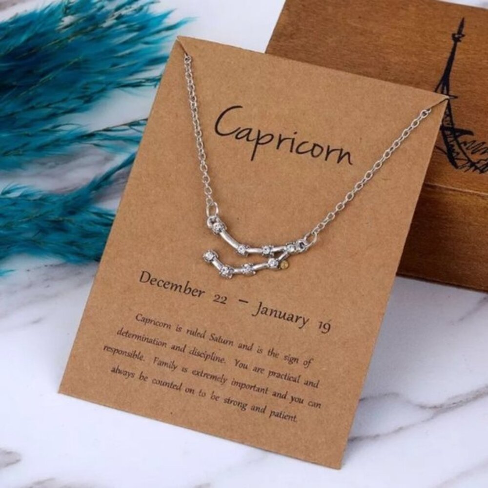 🎉 New Capricorn Zodiac Silver Plated Necklace